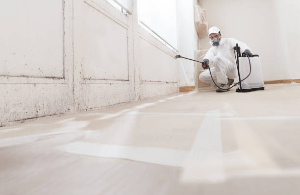 24/7 Emergency Attic Mold Removal experts in Prosper, TX
