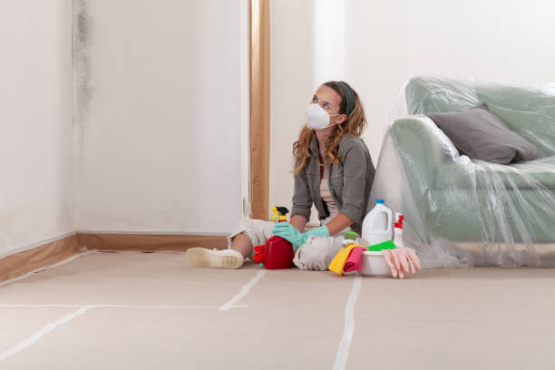 Reliable Attic Mold Removal contractor in Prosper, TX by WQB Mold Removal